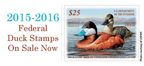 2015 2016 Federal Duck Stamps On Sale Now Jax Beach Surf Fishing