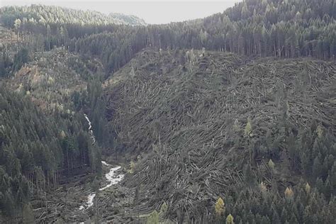aftermath   vaia storm pefc italy sustainable supply chain
