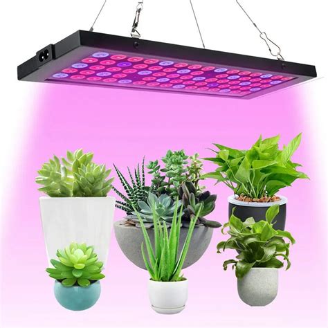 Lámparas Led Para Cultivo Indoor La Pantalla