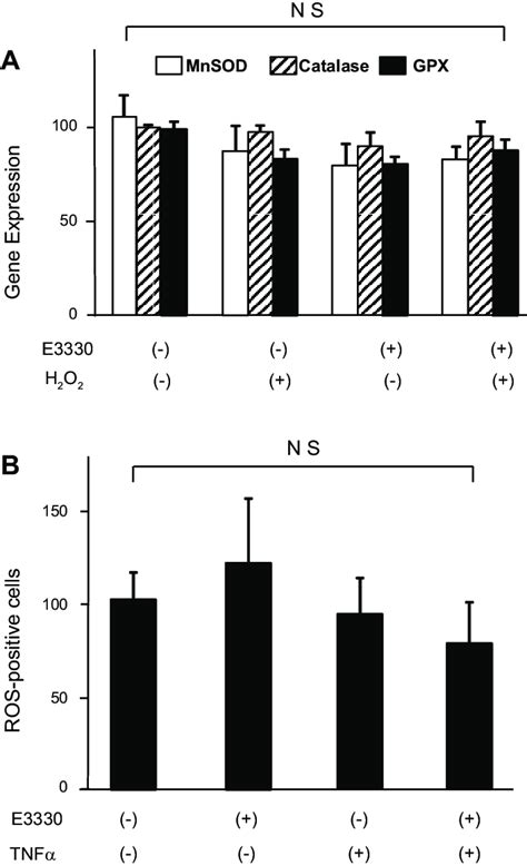 Effects Of The Ape1 Inhibitor E3330 On Ros Scavengers And Ros In Epcs