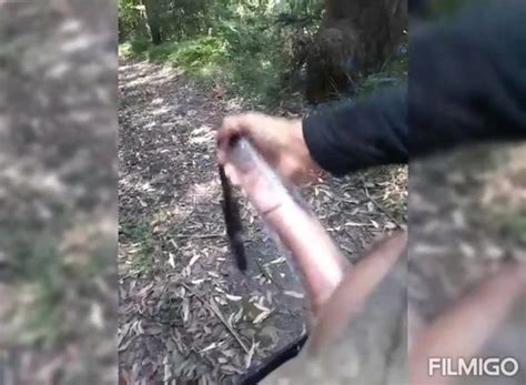 Pumping And Stroking My Horny Big Cock In The Woods On Kik XHamster