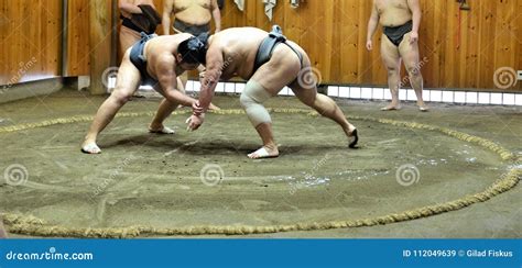 Sumo Wrestlers Training In Sumo Stables Editorial Photo | CartoonDealer.com #112049639