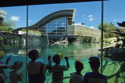 Fort Worth Zoo Museum of Living Art - Architizer