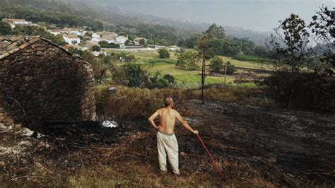 VOM FEUER BEDROHT WALDBRAND IN PORTUGAL Katrin Reichwald