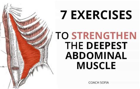 7 Best Deep Core Exercises That Are Completely Bodyweight Core