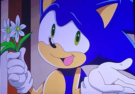 sonic x pfp in 2022 | Sonic, Sonic the hedgehog, Hedgehog