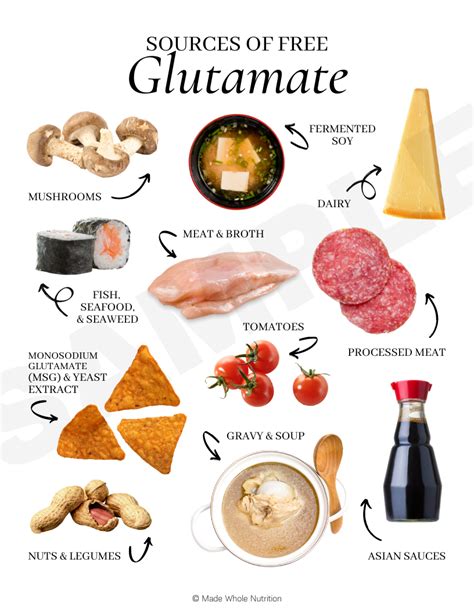 Sources Of Free Glutamate Handout Functional Health Research