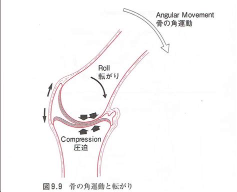 おくがわ整体院の施術の秘密に迫る①│西新宿のo脚矯正・パーソナルトレーニングを得意とするおくがわ整体院