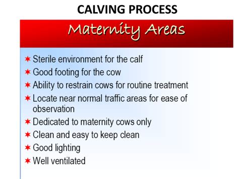 Calving Process