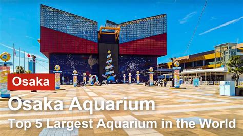 Osaka Walk Japan KAIYUKAN The Top 5 Biggest Aquarium In The World