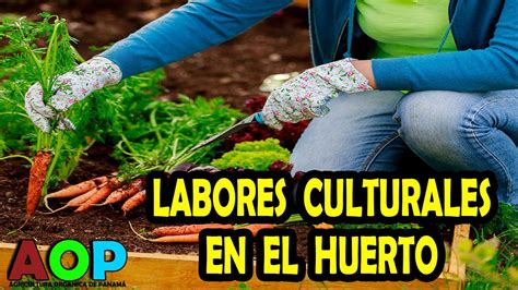 INTRODUCCIÓN A LA AGRICULTURA ORGÁNICA LABORES CULTURALES EN EL HUERTO