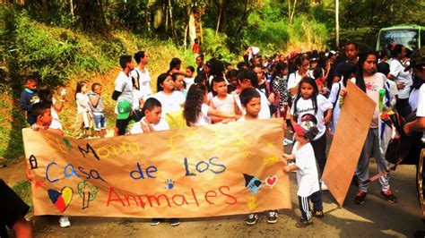 Cusco Jóvenes Peruanos Y De Otros Países Participarán En Campamento Para Abordar Problemáticas