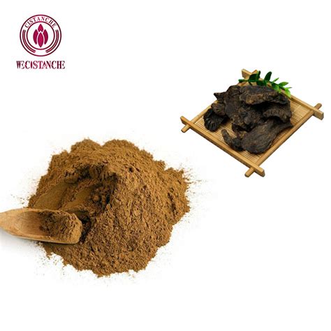 OEM 1 45 Echinacoside 1 20 Acteoside Plant Extract Cistanche Tubulosa