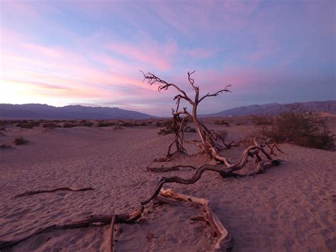 Death Valley Desert Sunset - Free photo on Pixabay - Pixabay