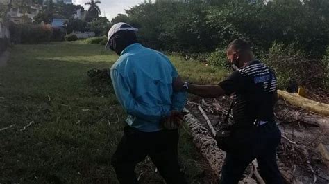 Capturan A Un Hombre Cometiendo Delito Ambiental En Manglares En Coco