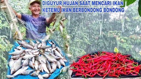 Diguyur Hujan Saat Mencari Ikan Ketemu Ikan Berbondong Bondong Youtube