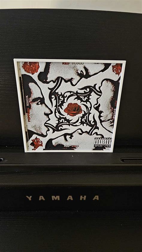 Red Hot Chili Peppers Blood Sugar Sex Magik Album CoverFree STL File For 3D PrintingCults