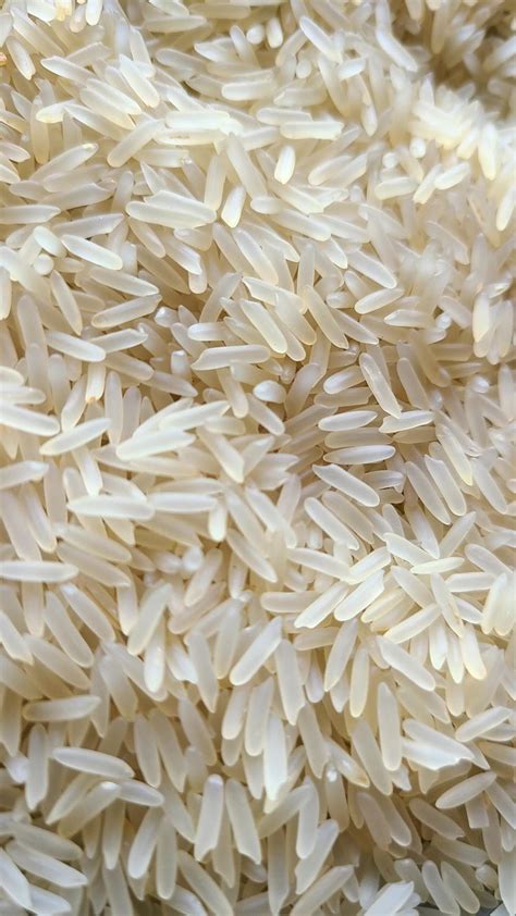 🍚 Raw Rice: A Timeless Staple for Health and Flavor 🍚 | Cooking ...