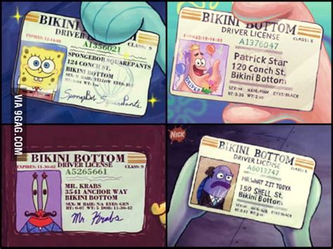 Bikini Bottom Driving Licenses GAG