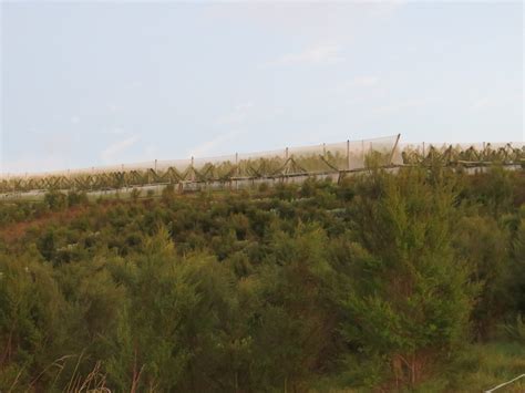 Biodiversity study concludes at Wiroa - Craigmore Sustainables