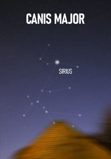 Sirius | The Brightest Star in the Sky | Pictures, Facts, and Location