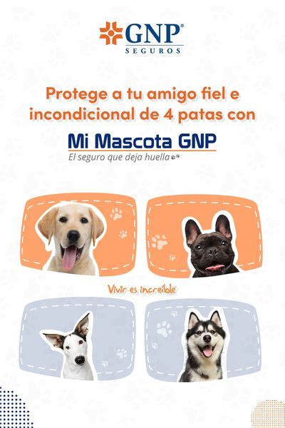 Seguro Integral Para Mascotas Mi Mascota Gnp Por Gnp Seguros