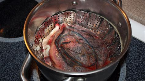 El Peligro De Comer Placenta Advierten A Las Madres Sobre Las