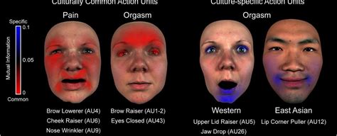 Sex Increases Your Immunity To Pain Orgasms Trigger Hormones That Help You Increase Your Pain