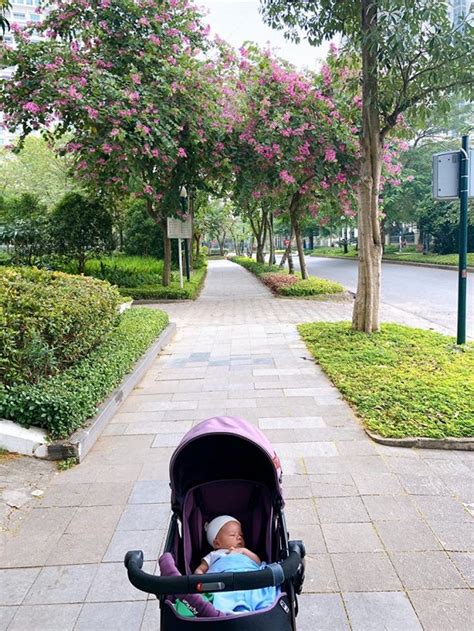 Mc Minh Trang T Hot Mom Truy N C M H Ng N L M X M Tr I H L Ng H O H C Sao Vi T Vi T