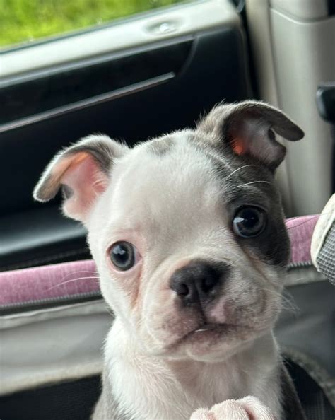 Blaze - I hope she sees this but the gal helping to check us in from