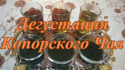 Копорский чай в домашних условиях ( Иван Чай, Кипрей ) Дегустация трех ...