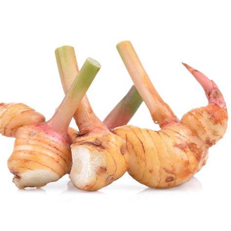 Galangal Fresh Zone Fresh