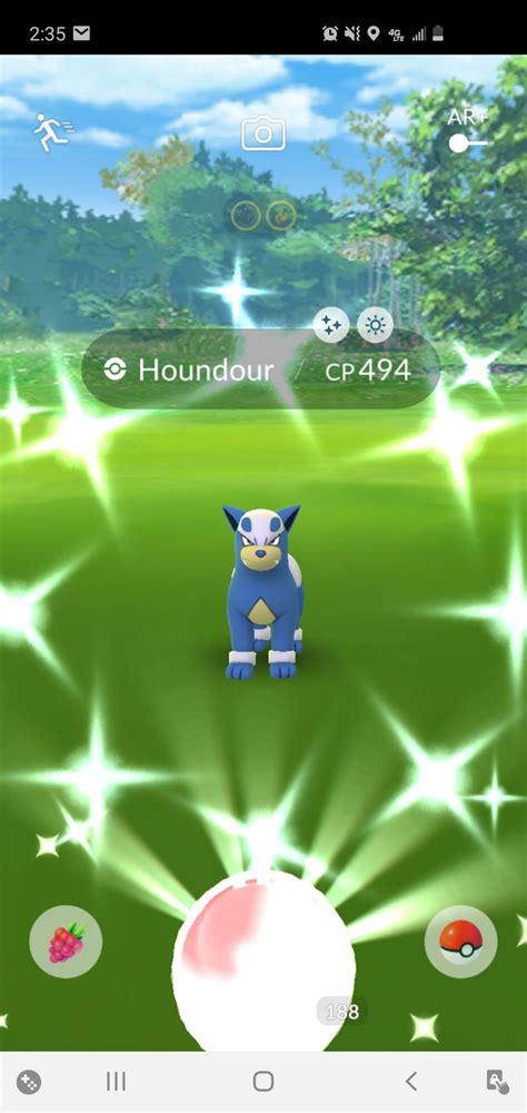 Shiny Houndour | Shiny pokemon, Pokemon dex, Pokemon go