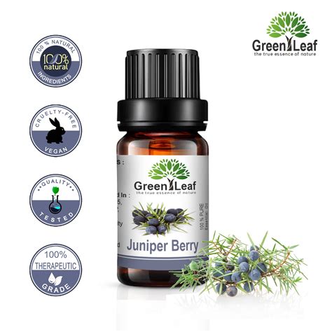 Juniper Berry Essential Oil