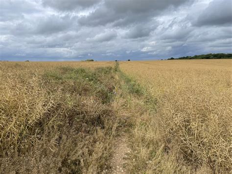 Path Towards Bazeley Copse Mr Ignavy Cc By Sa Geograph Britain