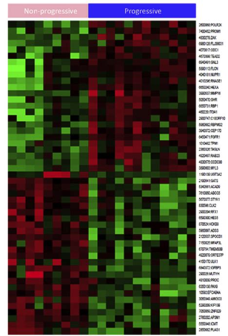 Publications From The Wankowicz Lab