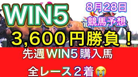 【競馬】8月28日win5予想！先週win5購入馬連対率100 ️ Youtube