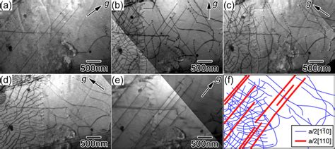 Bright Field TEM Images Of Dislocation Structure In The Specimen