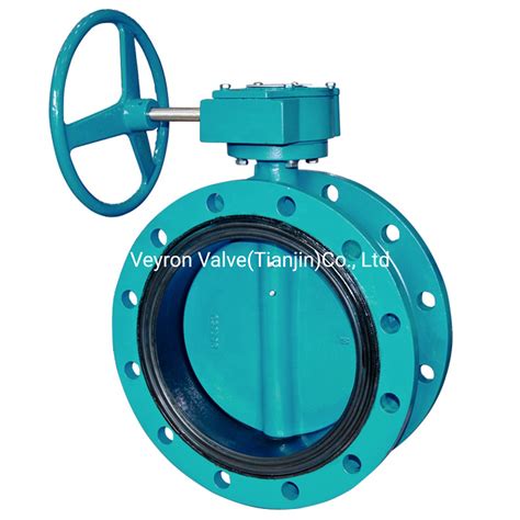 High Performance Material Quality Ductile Iron DN700 Worm Gear