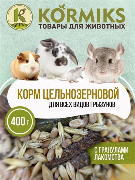 Лучшие корма для шиншилл: топ-10