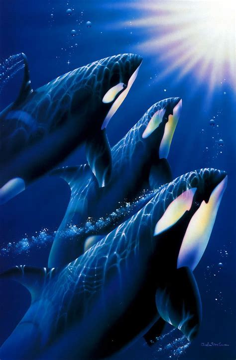 1100259561-m.jpg (800×1223) | Orca / Killer Whales ( Artwork ...