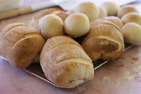 The Shady Baker: Bread, buy or bake