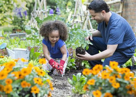 Easy Garden Plants to Grow * Green Street Media