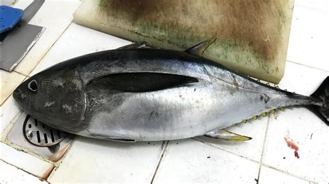 Big Tuna Fish Cutting Skills In Mirbat Market Fish Cutting Skills