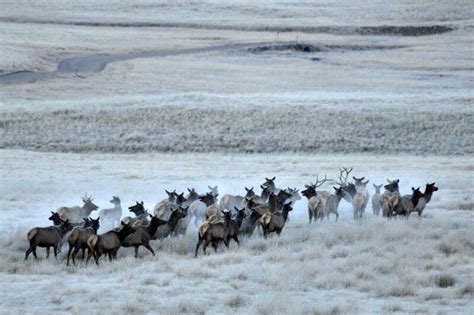 Valles Caldera, a National Preserve and Place of Intrigue