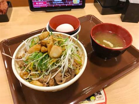 すき家 にんにく白髪ねぎ牛丼 【食レポブログ たべたおし】