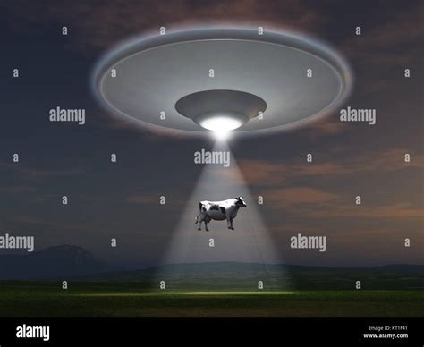 Ovni Y Vaca Fotografías E Imágenes De Alta Resolución Alamy