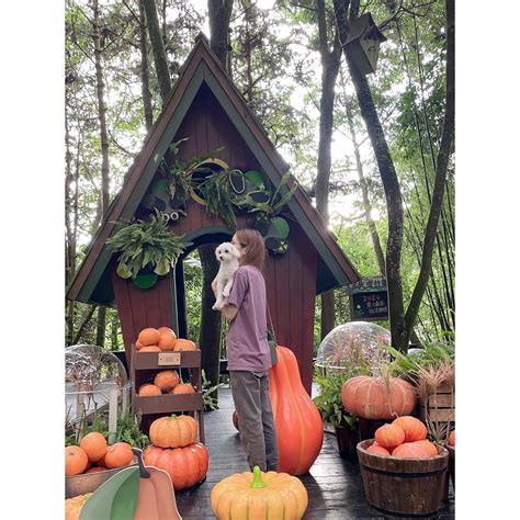 自介 風沙星辰 看板 lesbian 批踢踢實業坊