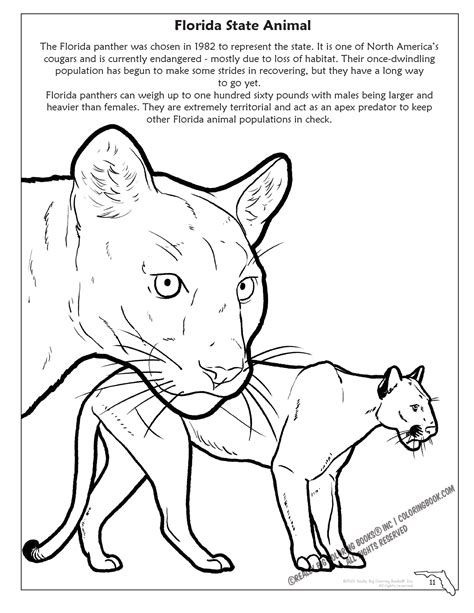 Florida State Coloring Book 8.5 x 11