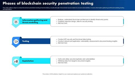 Phases Of Blockchain Security Penetration Testing Ppt Slide